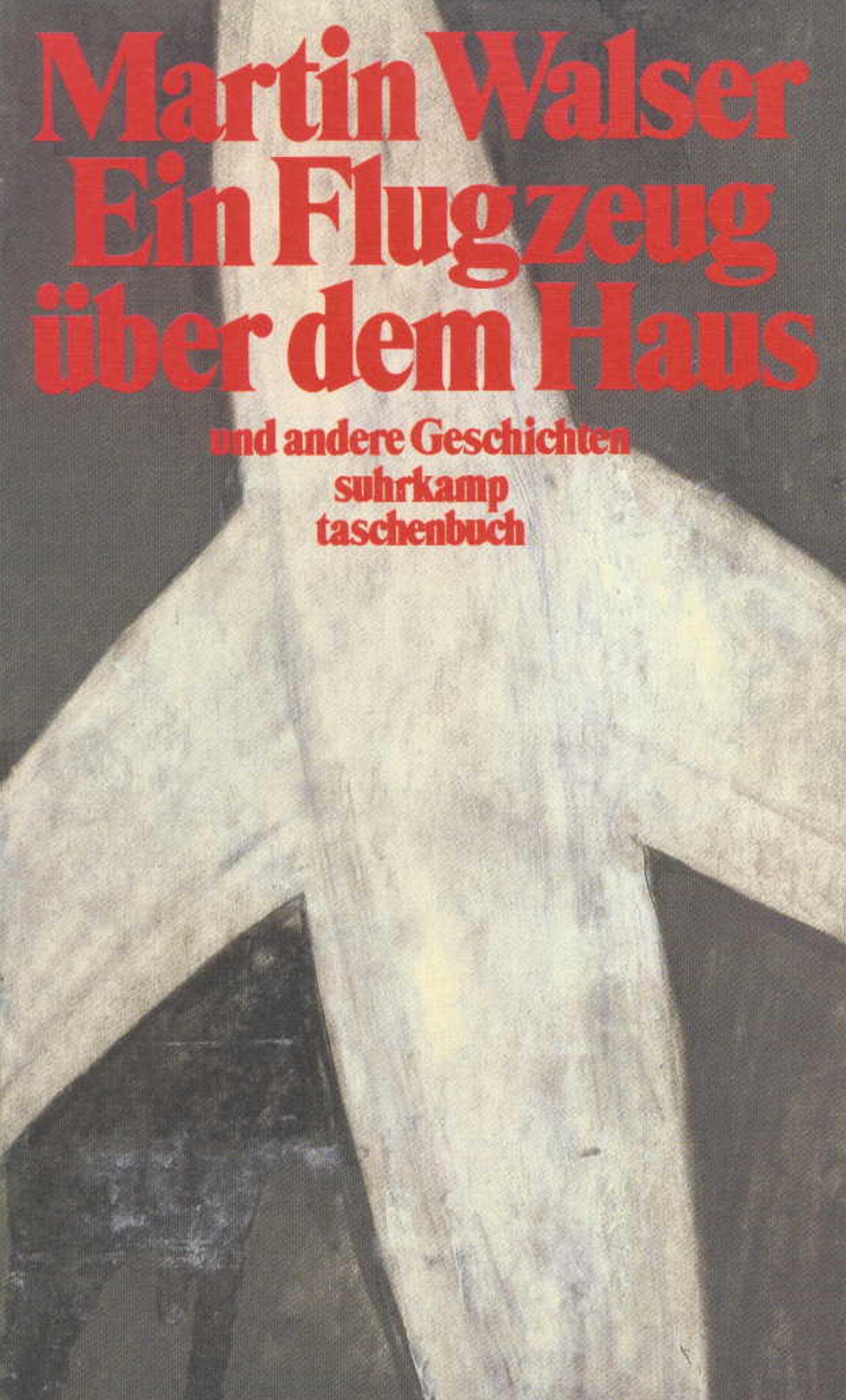 Ein Flugzeug über dem Haus und andere Geschichten. Buch