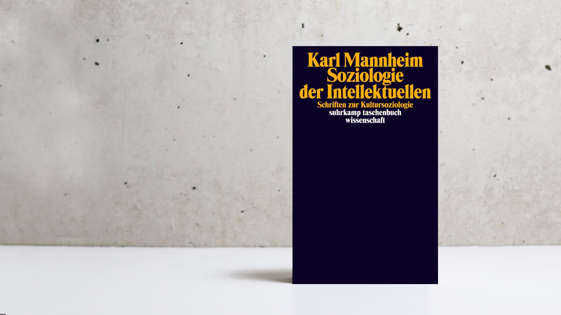 Beitrag zu Karl Mannheims Soziologie der Intellektuellen