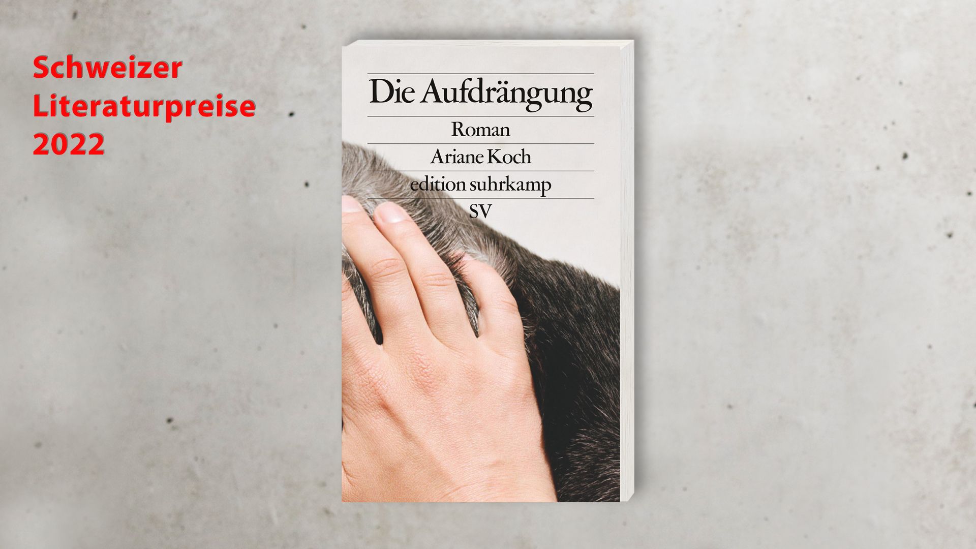 Beitrag zu Ariane Koch receives Swiss Literature Award
