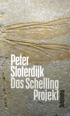The Schelling-Project