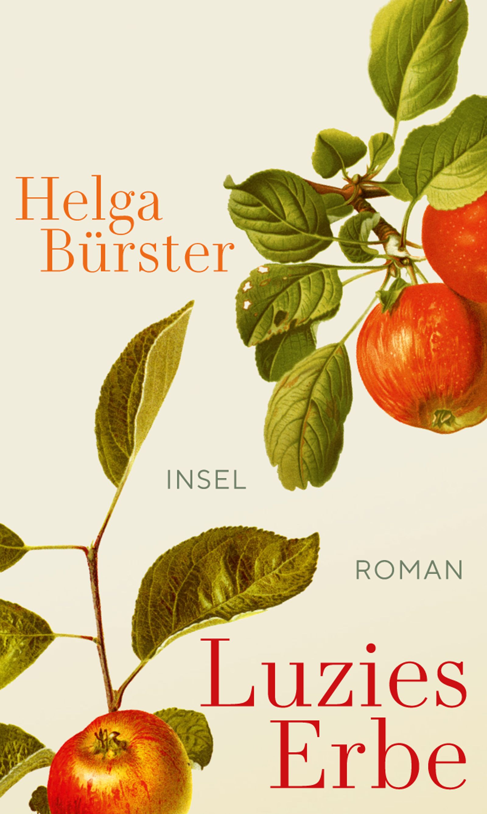 Luzies Erbe. Buch von Helga Bürster (Insel Verlag)