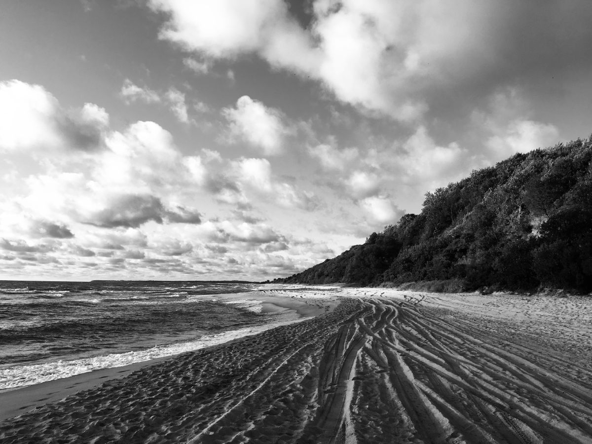 Schwarz-Weiß-Bild von einem Strand in Kaliningrad zu »Kazmira« von Svenja Leiber