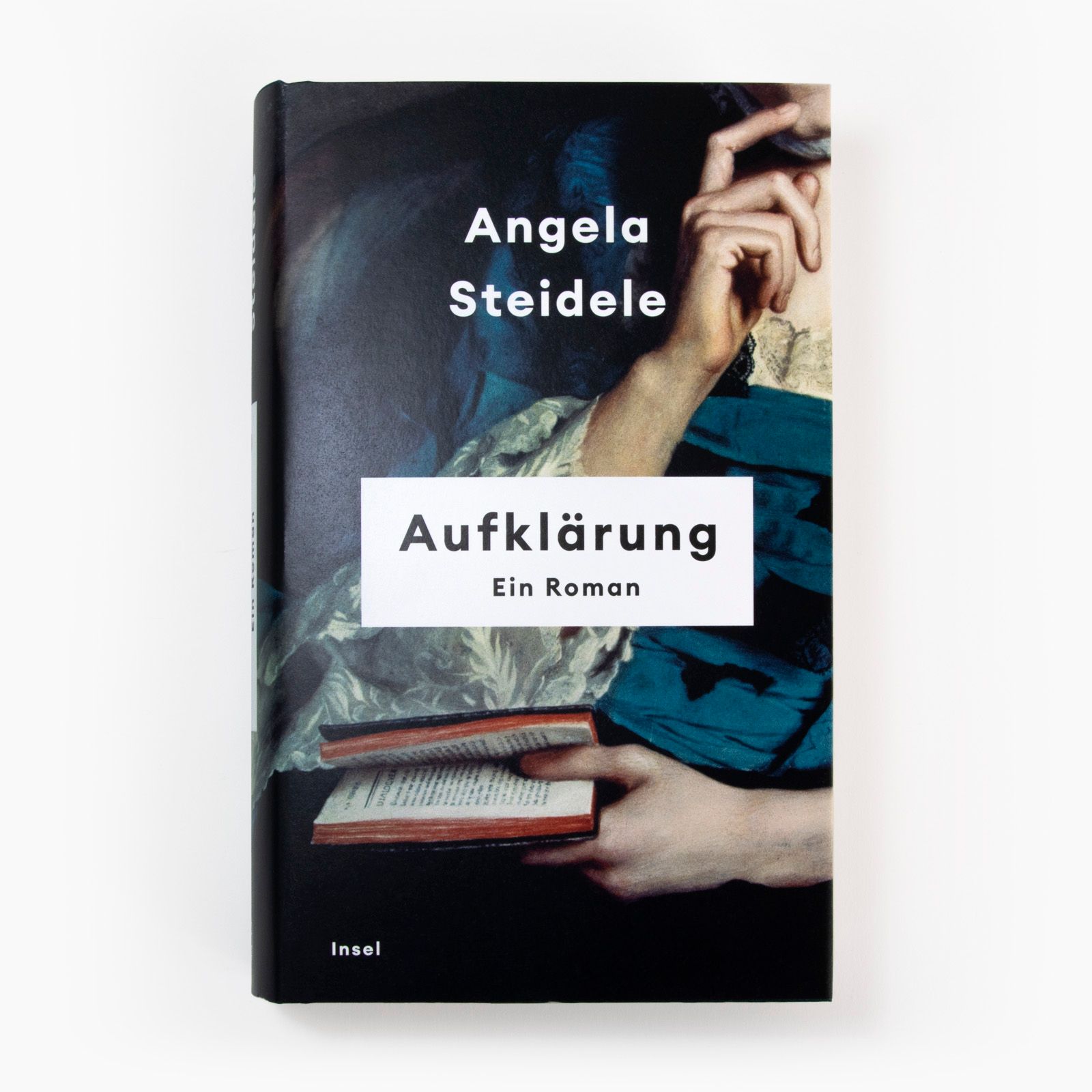 Angela Steideles Roman »Aufklärung« frontal 