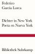 U1 zu Dichter in New York. Poeta en Nueva York