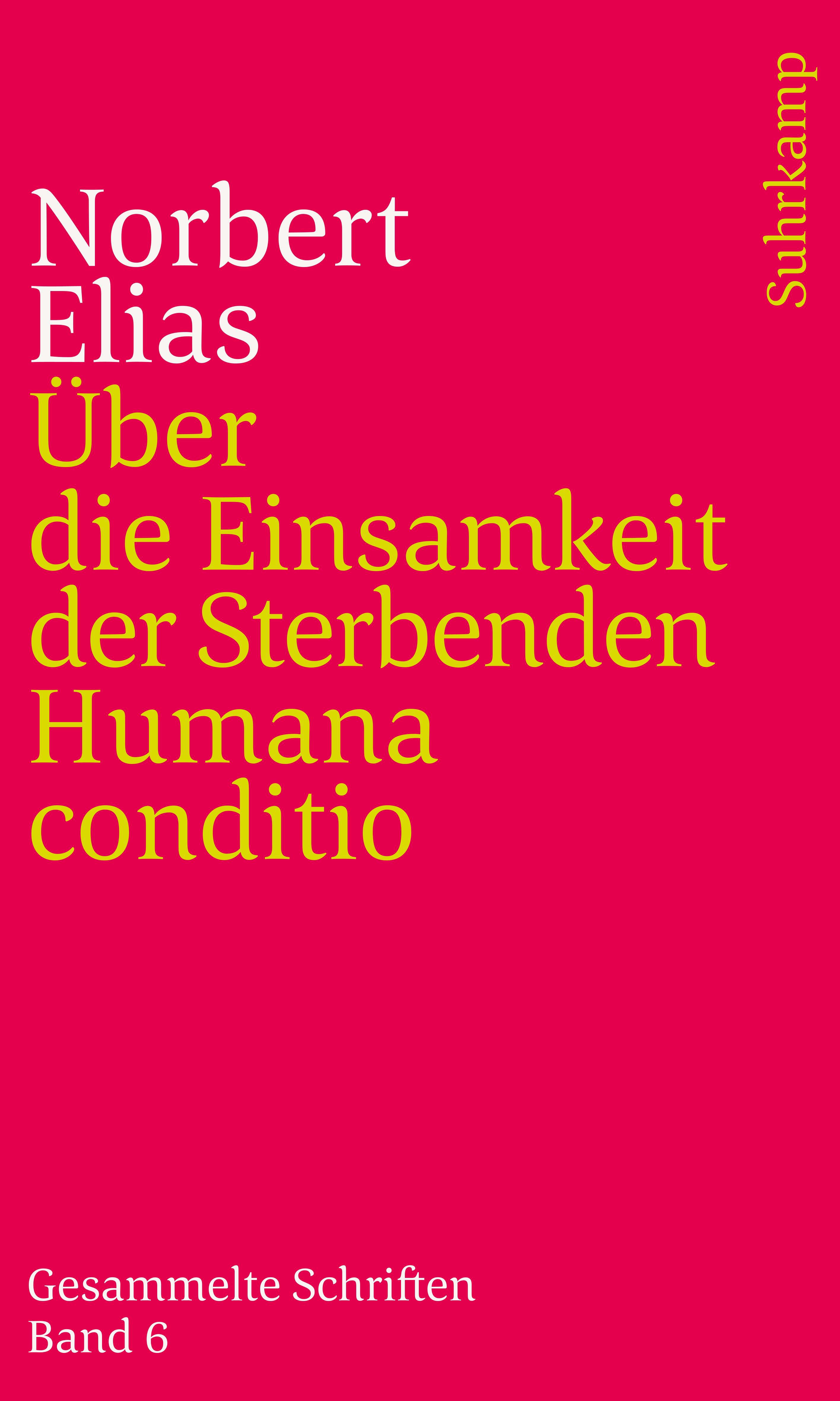 Gesammelte Schriften in 19 Bänden. Buch von Norbert Elias