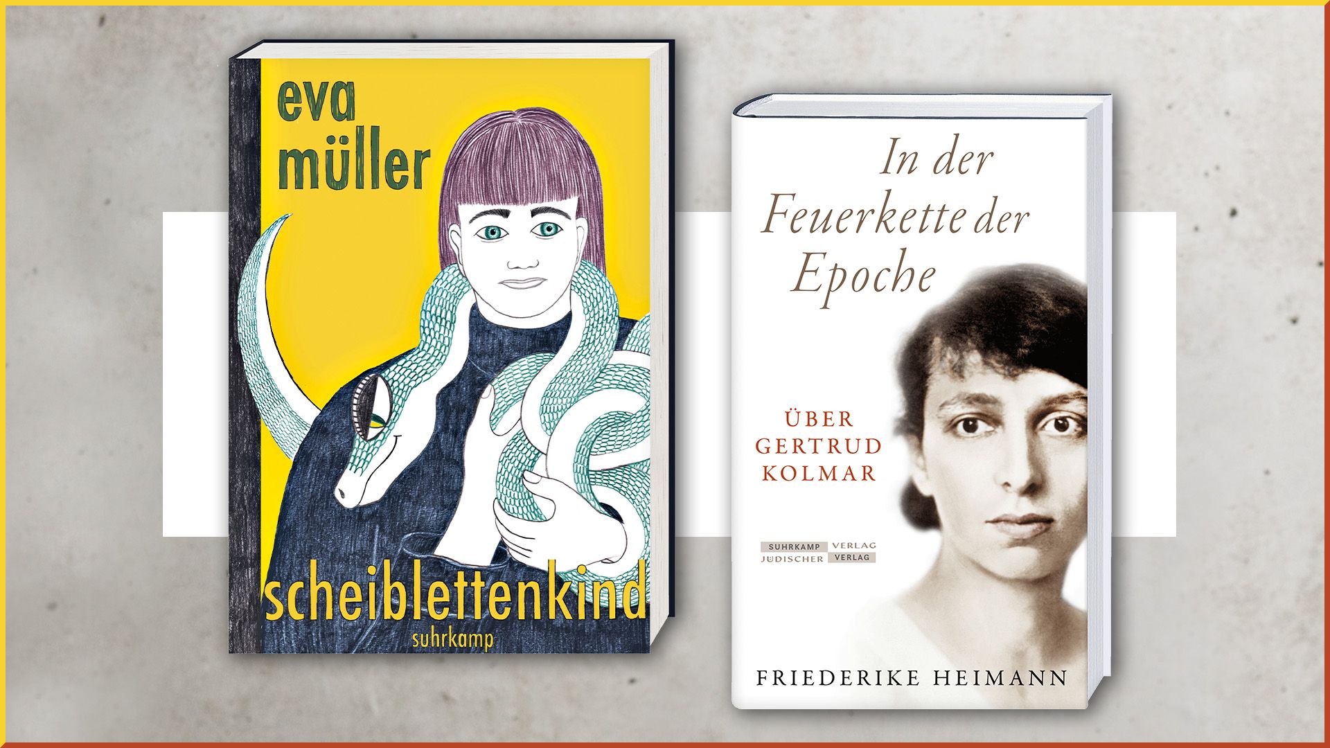 Beitrag zu Eva Müller und Friederike Heimann auf der Shortlist der Hamburger Literaturpreise 2023