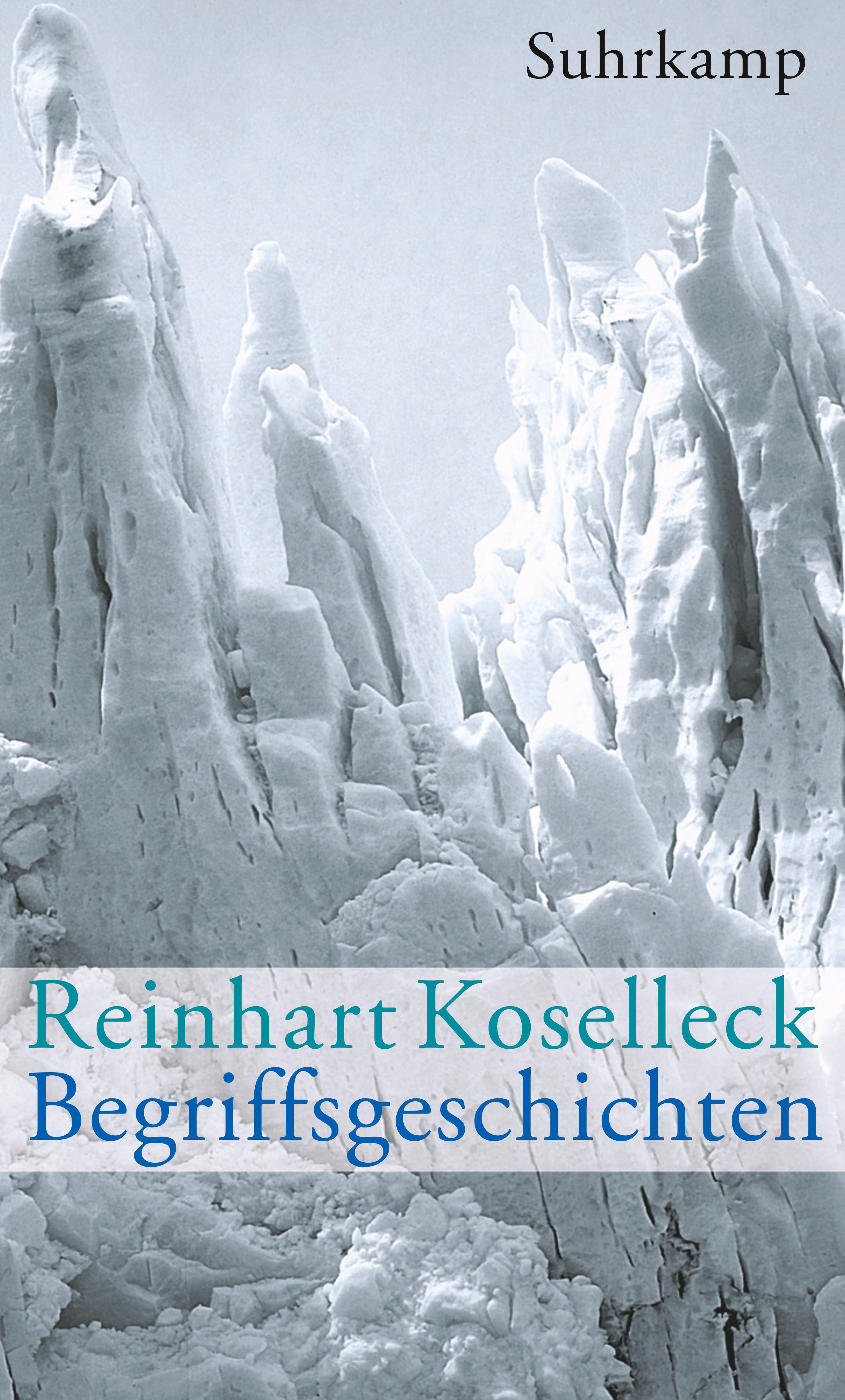 Reinhart Koselleck: Futures Past (Vergangene Zukunft Reinhart Koselleck: Futures Past (Vergangene Zukunft