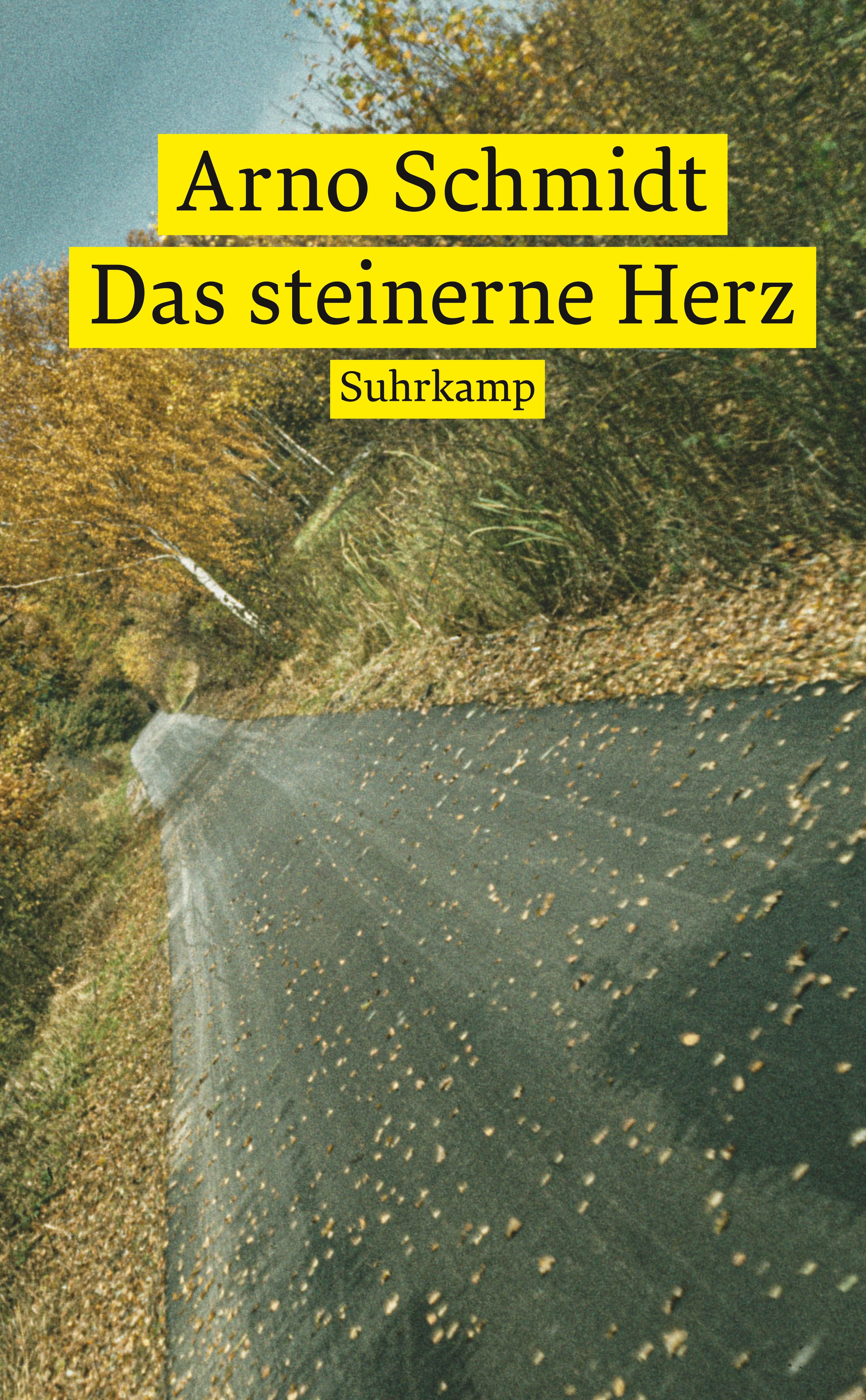 Das steinerne Herz. Buch von Arno Schmidt (Suhrkamp Verlag)