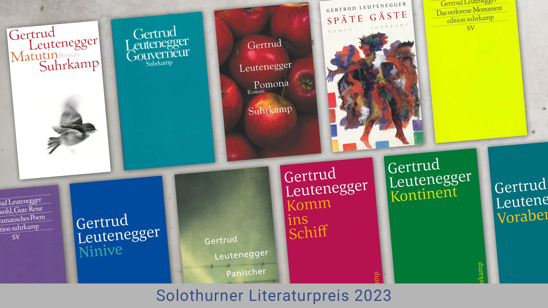 Beitrag zu Gertrud Leutenegger erhält den Solothurner Literaturpreis 2023