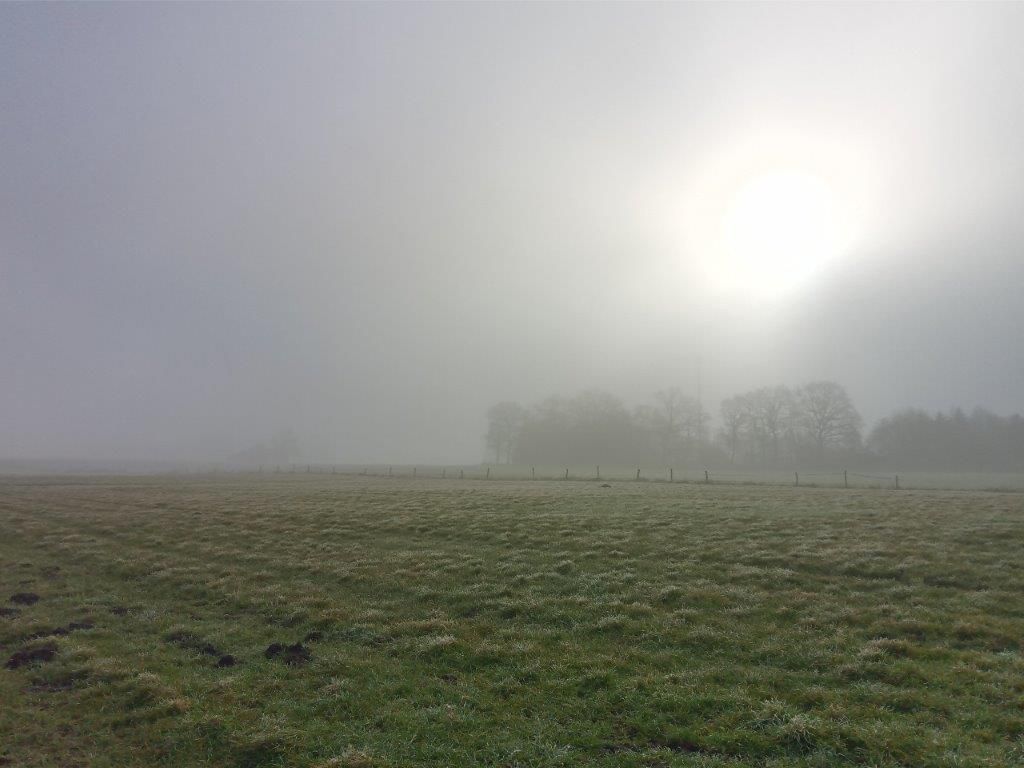 Trockengelegtes Moor im Nebel