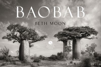 U1 zu BAOBAB: Meine Reise zu den ältesten Lebewesen und Waldwächtern